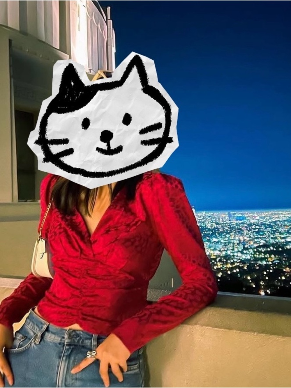Wayf Red Long-Sleeve Cat-Textured Top
